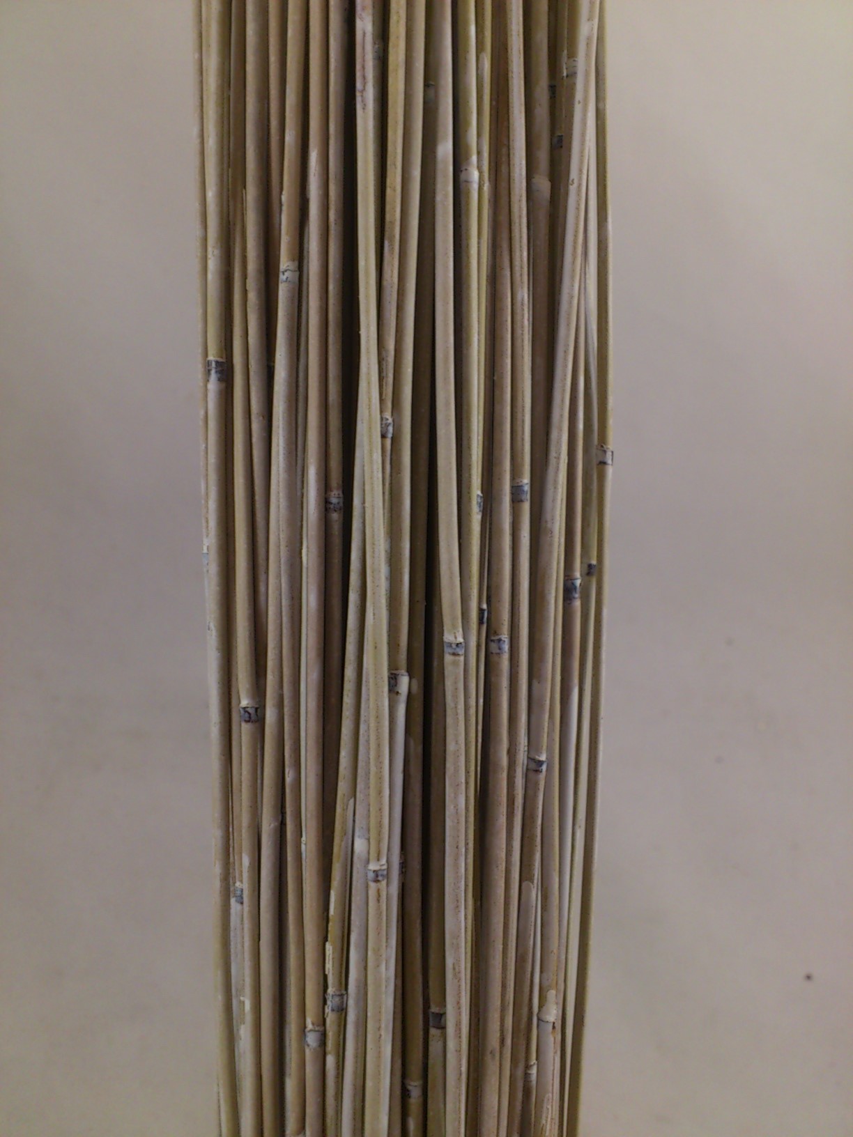 Vlei reed 400 gr. 80 cm white-wash